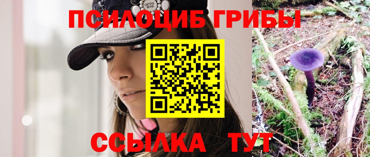 Лысьва  Галлюциногенные грибы Psilocybe  Вход с VPN  Галлюциногенные грибы Psilocybe 