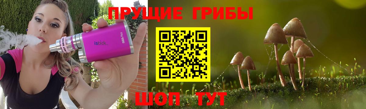 Галлюциногенные грибы Psilocybine cubensis Лысьва